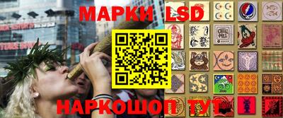 гидропоника Гусев