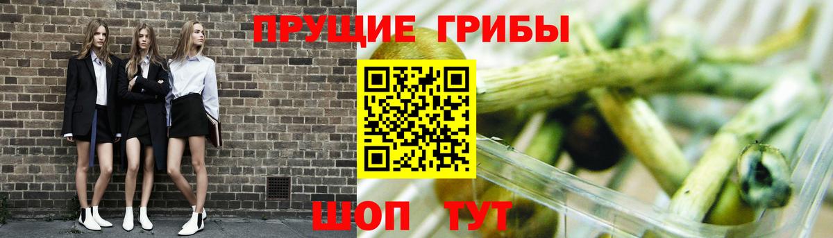 Галлюциногенные грибы GOLDEN TEACHER Новоалександровск