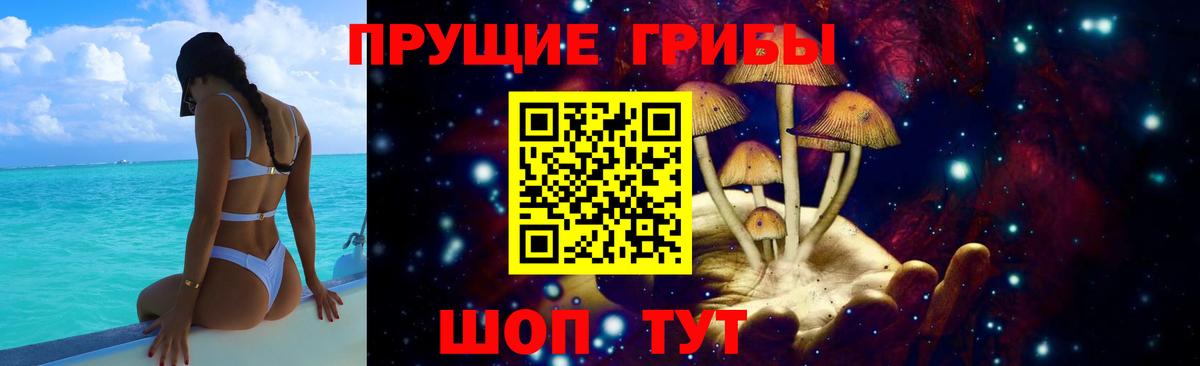 Новоалександровск  Псилоцибиновые грибы прущие грибы  продажа наркотиков  Вход с VPN 